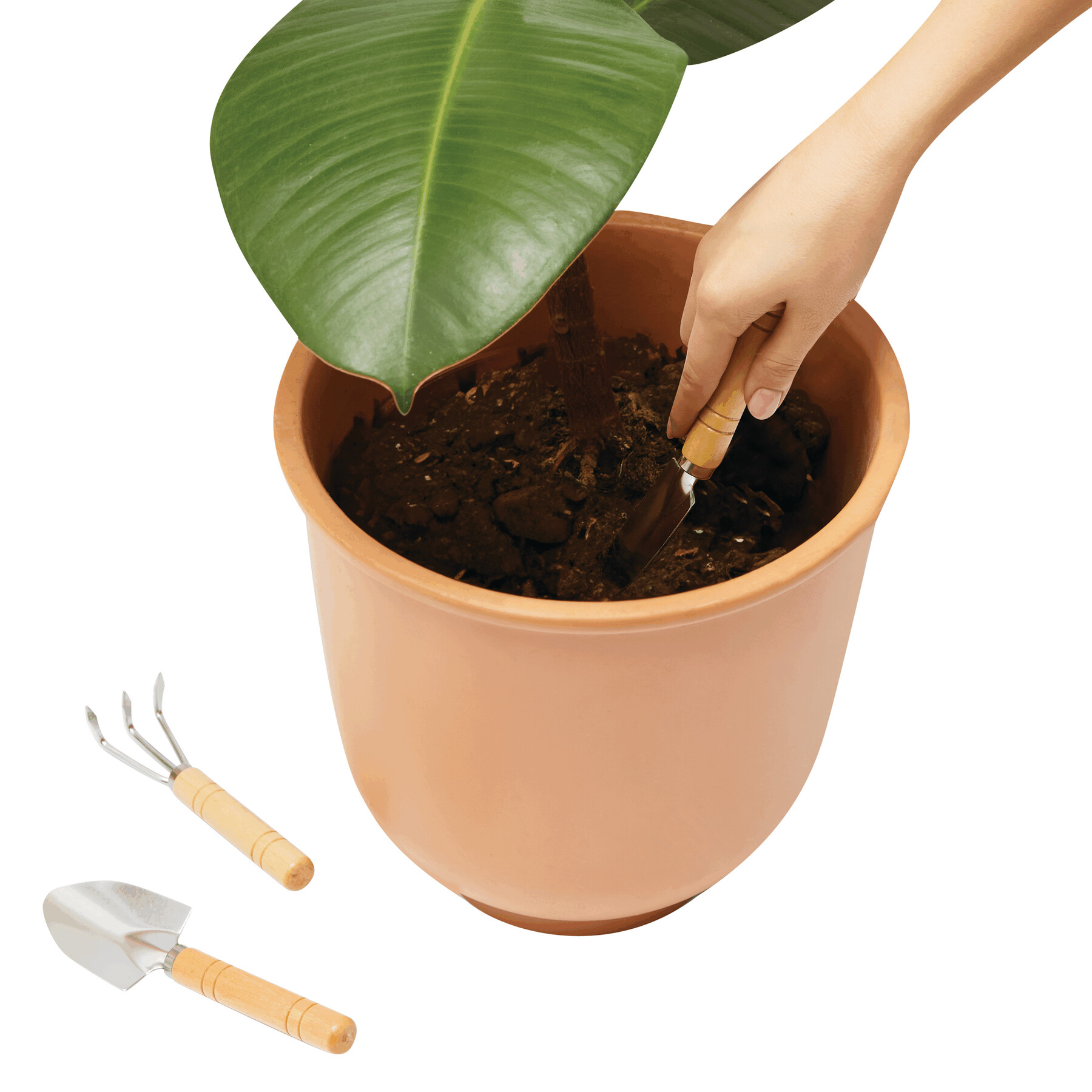 Vue 4 de PLANT IT - Set de jardin